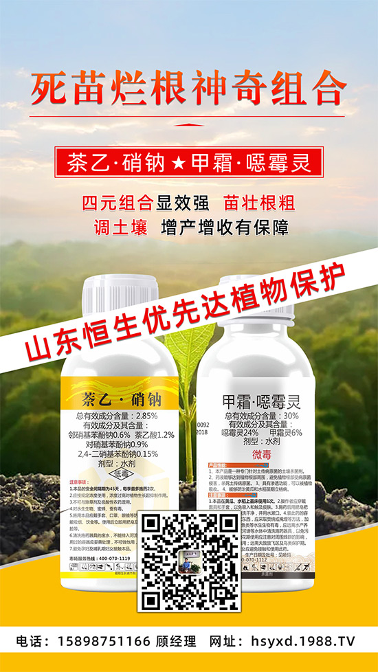 根腐、立枯、死苗爛根導(dǎo)致作物的“元兇”！這樣防治輕松搞定！