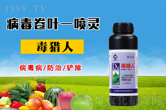 病毒病危害時(shí)期，怎么做好防治？