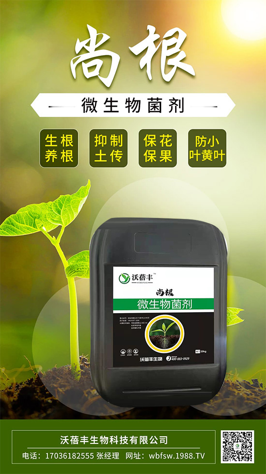 怎么才能讓作物生根壯根呢？這樣做讓作物生根到底！