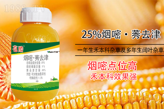 玉米除草，別用這幾種除草劑！