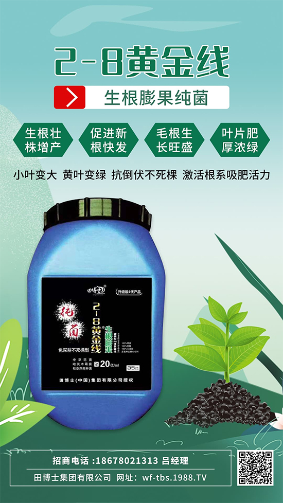 根是肥的嘴，萬物生長靠根系！作物爆發(fā)生根試試這一招! 