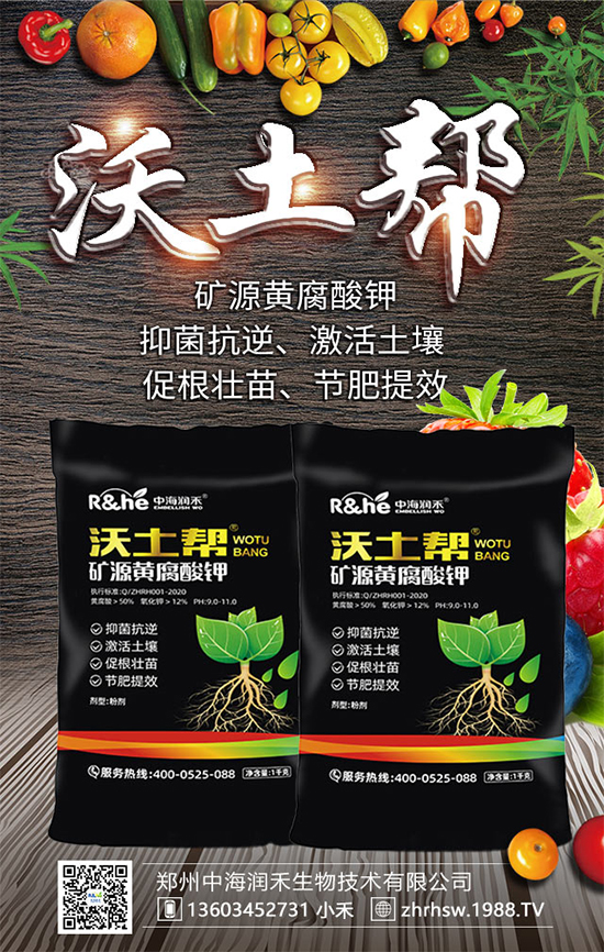 礦源黃腐酸鉀怎么用？放到地里幾天能看到效果？