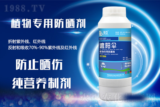 高溫天氣來襲,作物防曬有訣竅!快看你用上了嗎?