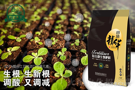 西瓜裂瓜怎么預防?了解這些西瓜滾滾品質高!