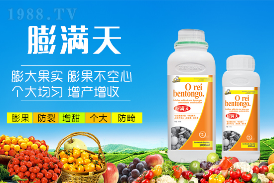 果實(shí)轉(zhuǎn)色膨果“新武器”！膨大防裂賣價(jià)高！提前上市7-12天！