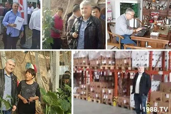 交500頂2000,高端進(jìn)口肥“性價(jià)比霸主”