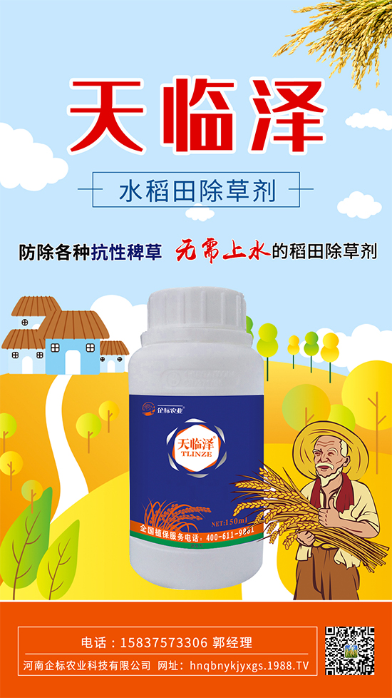 水稻田抗性稗草怎么防除？稻田青稗怎么用藥？