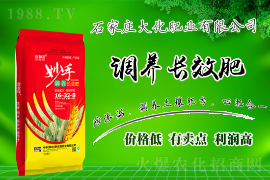 戰(zhàn)略合作再升級，石家莊大化肥業(yè)再次簽約1988.TV！