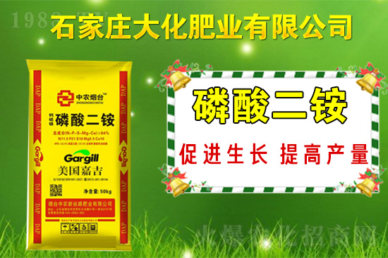 戰(zhàn)略合作再升級，石家莊大化肥業(yè)再次簽約1988.TV！