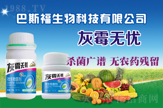 葡萄灰霉病危害嚴(yán)重！葡萄灰霉病如何防治？