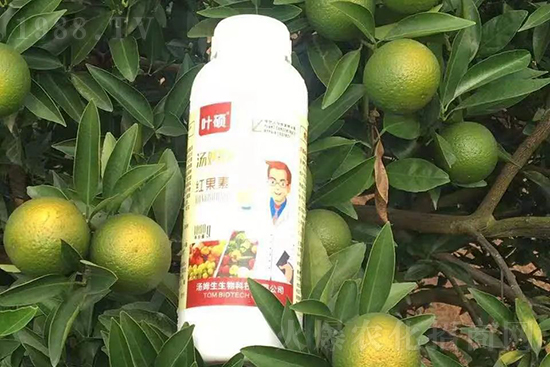 紅果素—只為轉(zhuǎn)色而生！轉(zhuǎn)色快、高，催紅不用愁！