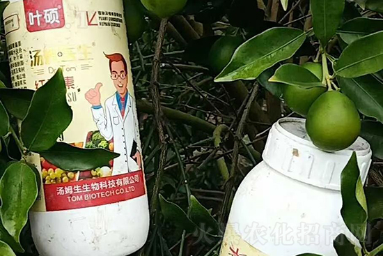 紅果素—只為轉(zhuǎn)色而生！轉(zhuǎn)色快、高，催紅不用愁！