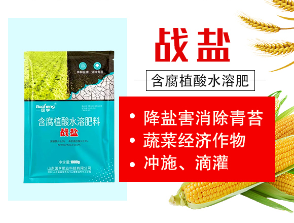 戰(zhàn)鹽-國(guó)亨肥業(yè)_02