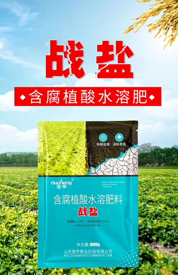 戰(zhàn)鹽-國(guó)亨肥業(yè)_01