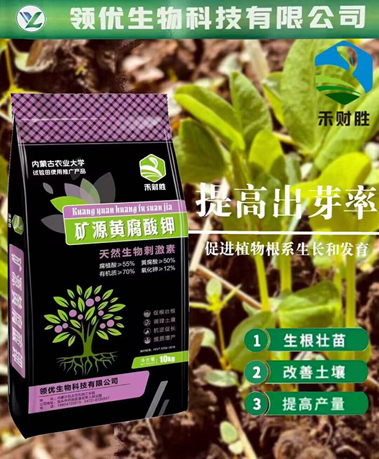 QQ圖片20230721172603