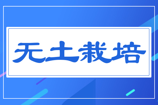 無(wú)土栽培