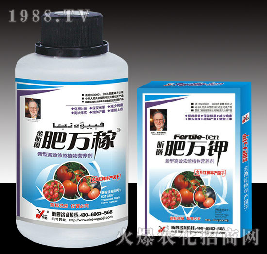 肥萬(wàn)稼（西紅柿）-昕爵