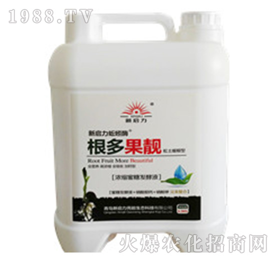 根多果靚-新啟力