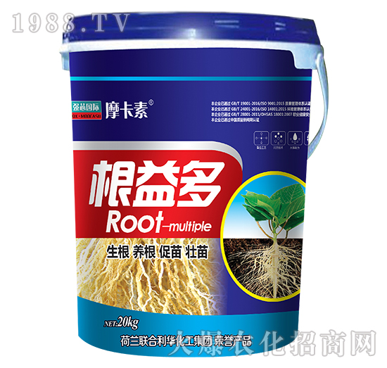 根益多-摩卡素-強芯國際