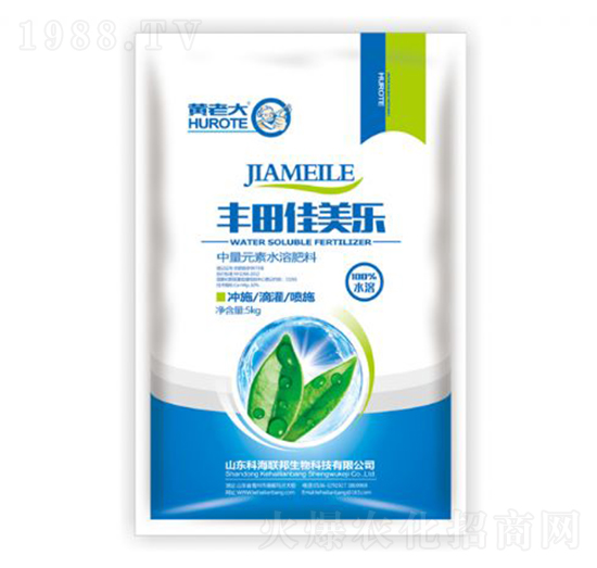 豐田佳美樂(lè)-黃老大-科海聯(lián)邦