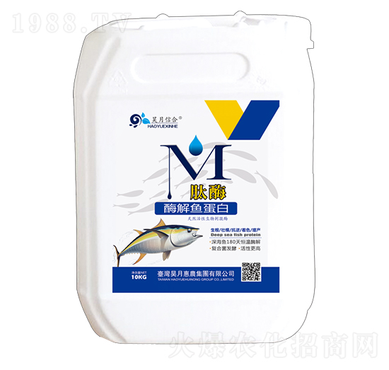 酶解魚(yú)蛋白-肽酶-昊月惠農(nóng)