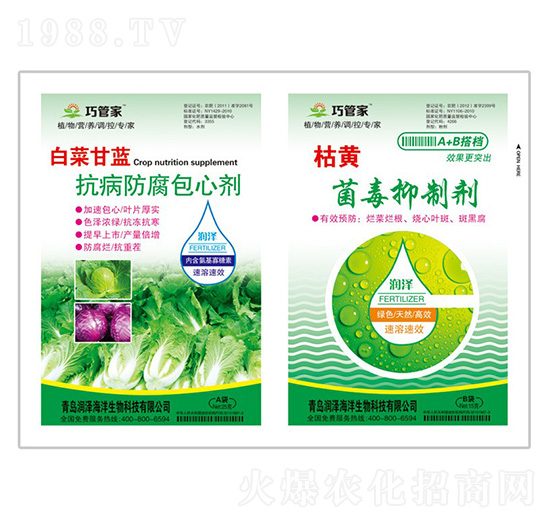 白菜甘藍抗病防腐包心劑+枯黃菌毒抑制劑-貝能生物
