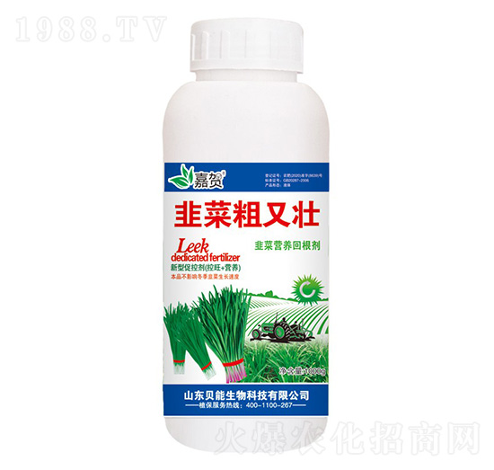 韭菜粗又壯-貝能生物