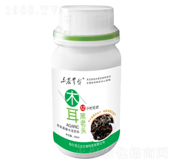木耳黑老頭-云臺(tái)