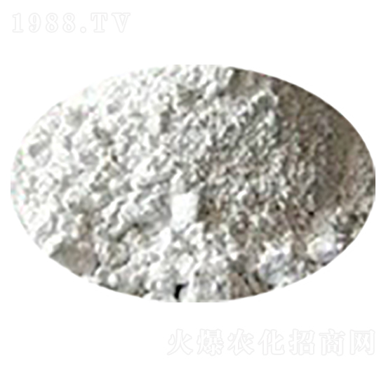 ���������|ĵϠ��-��������