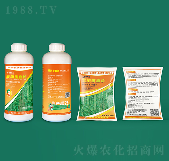 豆角嫩直長(zhǎng)-迦姆農(nóng)業(yè)