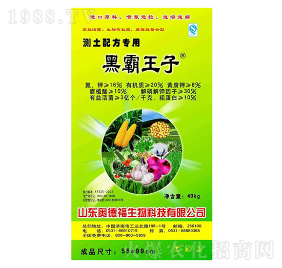 40kg�ڰ�����-�W�¸�