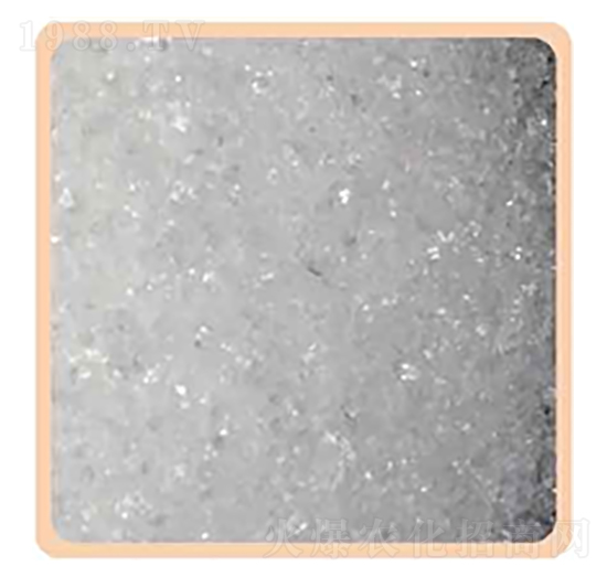 硝酸銨-佰錚化工