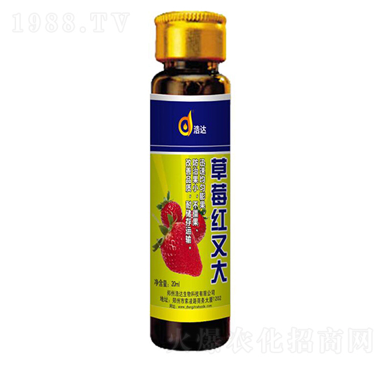 草莓紅又大-浩達(dá)生物