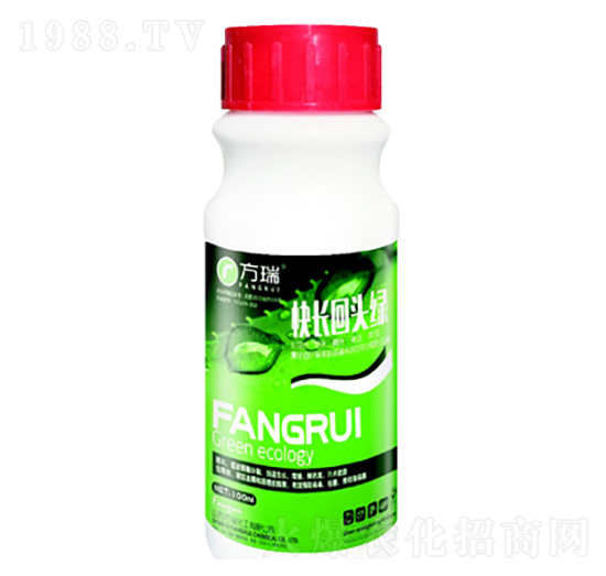 快長回頭綠-方瑞