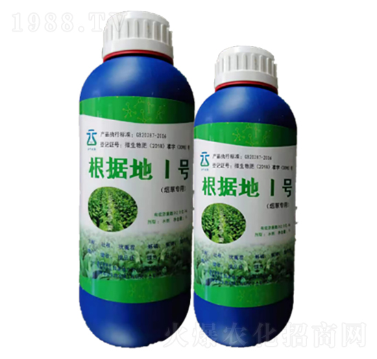 根據(jù)地1號(hào)-云葉生物