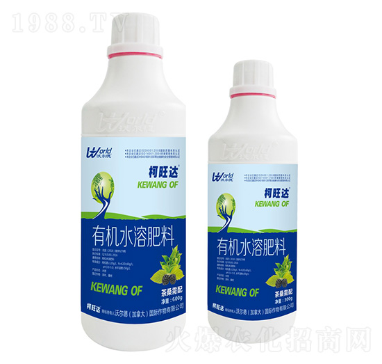600g茶桑需配有機水溶肥-柯旺達-沃爾德農(nóng)業(yè)