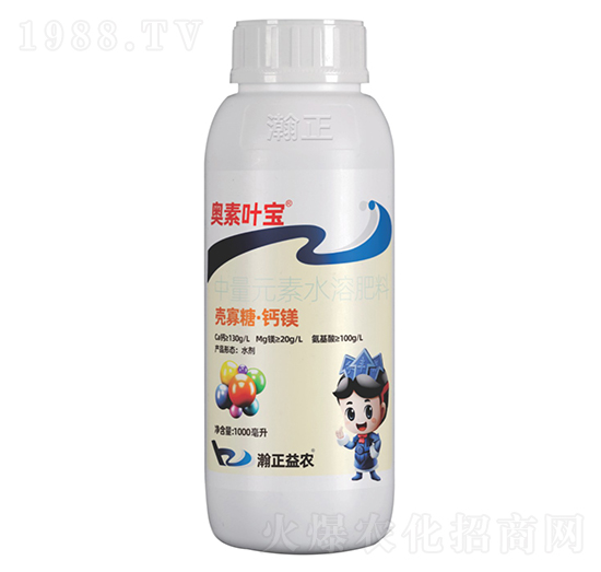 �����ǡ��}�V-�W���~��-������r