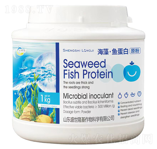 海藻·魚(yú)蛋白原粉-盛世隆基