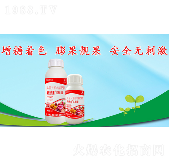 紅甜甜大量元素水溶肥料-農(nóng)鮮生-康土康田