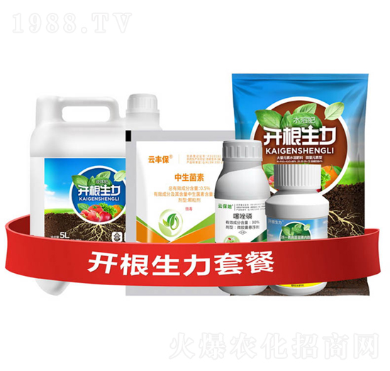 開根生力套餐Ⅰ-開根生力-云大科技