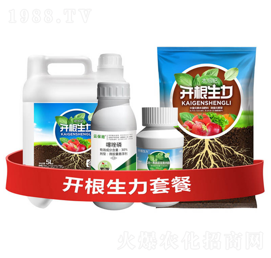 開根生力套餐H-云大科技