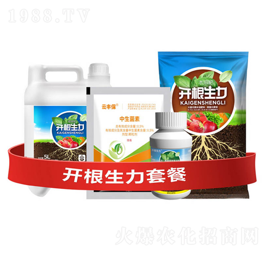 開根生力套餐G-云大科技