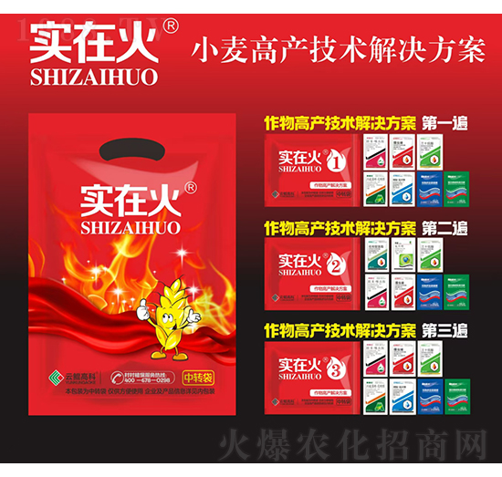 小麥高產(chǎn)技術(shù)解決方案-實(shí)在火-紅太陽(yáng)