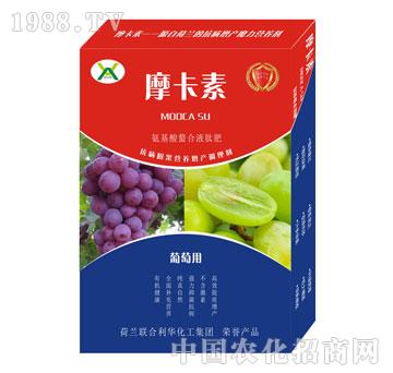 葡萄專用氨基酸螯合液肽肥-摩卡素-強(qiáng)芯國際