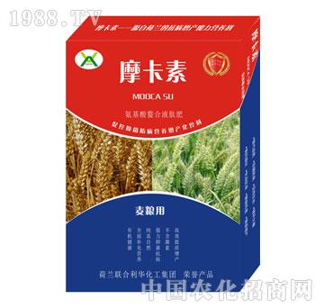 麥糧專用氨基酸螯合液肽肥-摩卡素-強芯國際