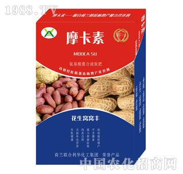 花生窩窩豐氨基酸螯合液肽肥-摩卡素-強芯國際