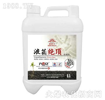 Һ���^픣�ȫ���ͣ�-��