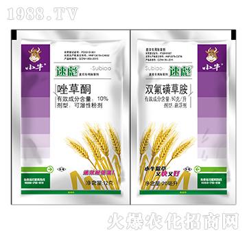 Сţ�ٱ��p�B��-10%