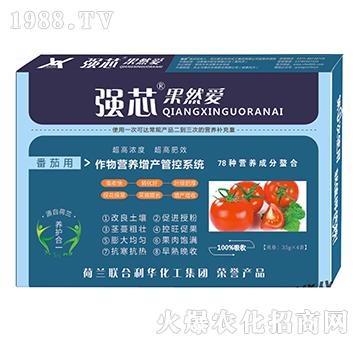番茄用強(qiáng)芯果然愛葉面肥-強(qiáng)芯國(guó)際