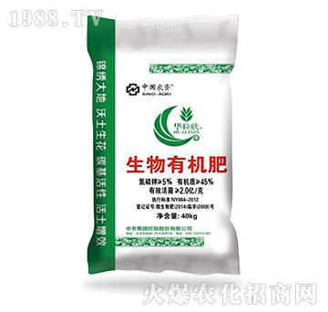 �����ЙC��-���ǻ��r(n��ng)